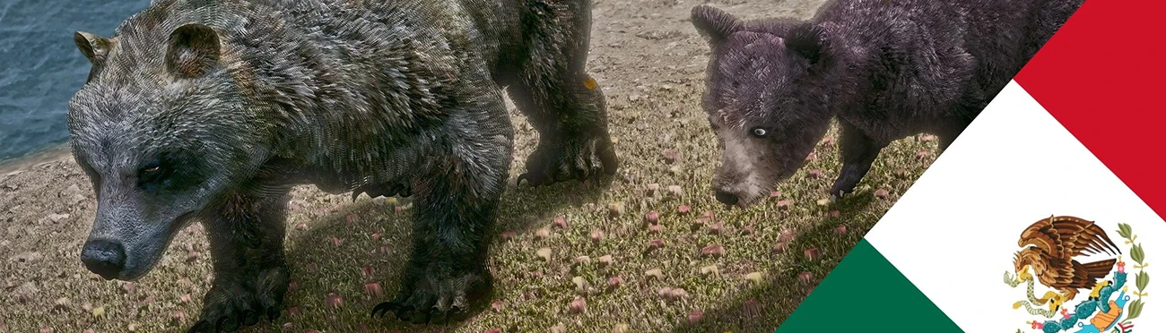Realistic Bears Project